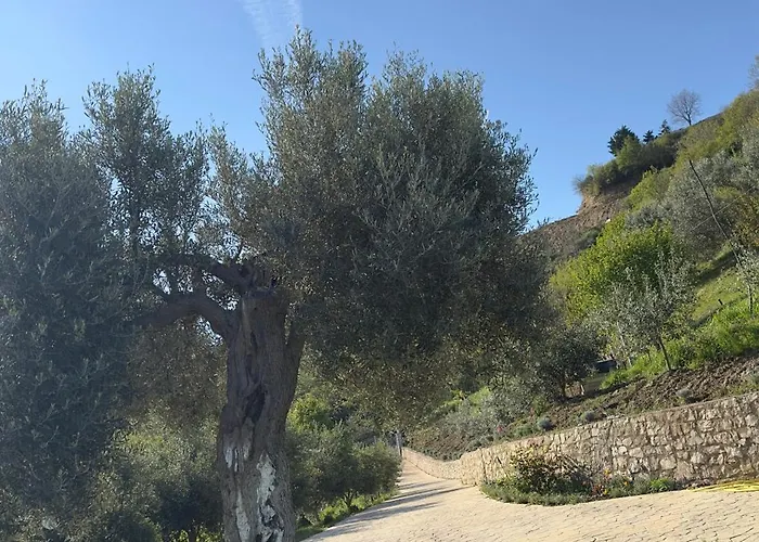 Rodon Blue Σπίτι διακοπών Shetaj