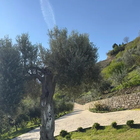 Rodon Blue Tatil Evi Shetaj